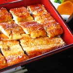 鰻をご飯に乗せたところ（うな重・上）