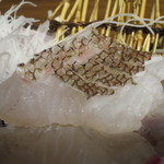 零 - 真鯛霜造りアップ