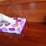 香風食堂 - 常備品（ティッシュ）