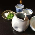 蕎仙坊 - お替わり前提なら、つゆも薬味もタップリ♪