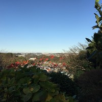 鎌倉山 本店 - エントランスのアプローチから見える絶景