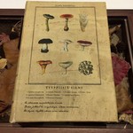 ラチュレ - 猪ベーコンと野キノコのタルトレット（閉）