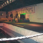 BBQ & Polynesian Show - 