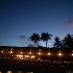 BBQ & Polynesian Show - 