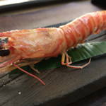 寿司処ちはる - 