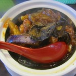 めだかタンタン - ２０１６年１２月再訪問