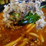 手作りうどん 天粉盛 - 