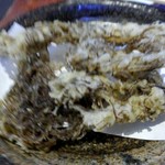 手作りうどん 天粉盛 - 