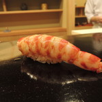 日本橋蛎殻町 すぎた - 車海老2016.12
      