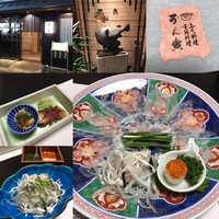 可ん寅 - 