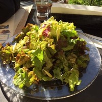 カレス - ﾊﾞﾙｻﾐｺｿｰｽのｻﾗﾀﾞ