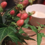 日々cafe - いつも季節の小花が