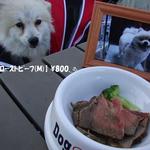 DOG DEPT.+CAFE Karuizawapurinsuten - [DOG MENU]ローストビーフ(M)♨