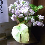 板前料理　味宏 - トイレに一鉢の花