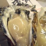 岩かき　浜市・昆布森