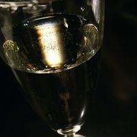 GINTO 池袋店 - 