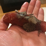 鮨松榮 - 鮪の黒トリュフがけ