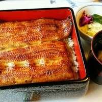 鰻割烹 伊豆栄 本店 - 鰻重 梅