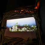 現代ガストロノミー 四匹の猫 - 2016年12月再訪：御馳走様でした☆