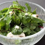Salad with plenty of coriander and blue cheese