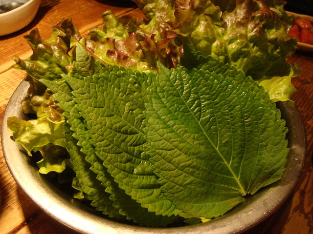 Korean Katei Ryori Chon photo 5