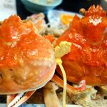 タグ付越前がにと産地不詳のズワイガニを食べ比べた話 活蟹3杯コースで茹で 焼き 刺身 鍋を堪能 例の32万円ではない りぞうと旅館 宿かり 福井県越前町 By Ken1tnk1958 りぞうと旅館 宿かり 越前町その他 旅館 食べログ タグ付越前がにと産地不詳のズワイガニを食べ比べた話 活蟹3杯コースで茹で 焼き 刺身 鍋を堪能 例の32万円ではない りぞうと旅館 宿かり 福井県越前町 By Ken1tnk1958 りぞうと旅館 宿かり 越前町その他 旅館 食べログ