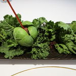 AMOUR - 芽キャベツの収穫