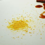 AMOUR - 蝦夷鹿 下仁田葱