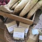 レガーロ×レガーレ - 