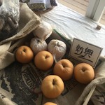 レガーロ×レガーレ - 