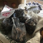 レガーロ×レガーレ - 