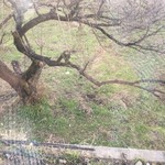 レガーロ×レガーレ - 