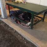 レガーロ×レガーレ - 