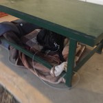 レガーロ×レガーレ - 