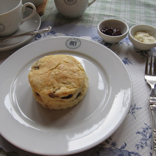 クレアホーム&ガーデン_1