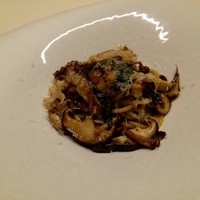 TACUBO - 