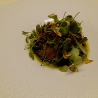TACUBO - 