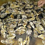 かき焼 うちの海 - 