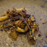 ヴィラ・アイーダ - ひよ鶏のトルケッティ