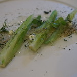 ヴィラ・アイーダ - アオリイカ　フェンネル　かたばみ