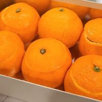 村上開新堂 レストラン - 