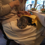 ビストロ クワバラ 渡辺通本店 - 