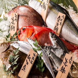 豊洲市場直送の鮮魚をお刺身や創作アレンジで堪能♪