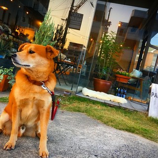 ハイファイブ コーヒー_1