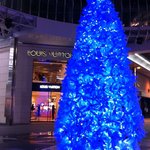 パスタ デ アリオスト - 2010.12.12(日)訪問　店のすぐ外ではクリスマスディスプレイが(^o^)/