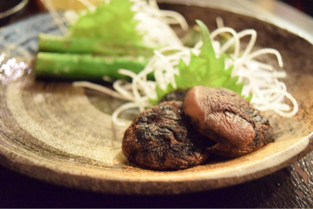 Koshi-Tantan photo 4