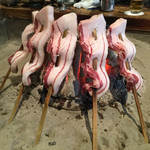 柳家 - 2016年12月下旬。