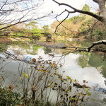 吉祥庵 - 近くの浄瑠璃寺庭園(鑑賞無料)(2016.12月)