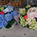 らぁ麺 紫陽花 - 