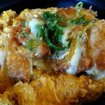 手打ちうどん 団平 - ヒレカツ丼アップ